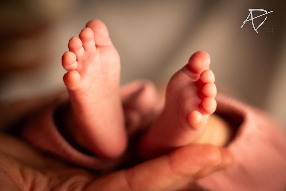 Newborn baby portrait session